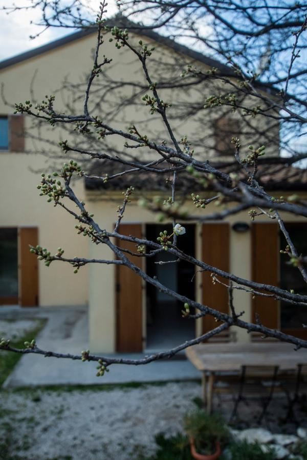 Agriturismo Conero Ancona Exterior photo