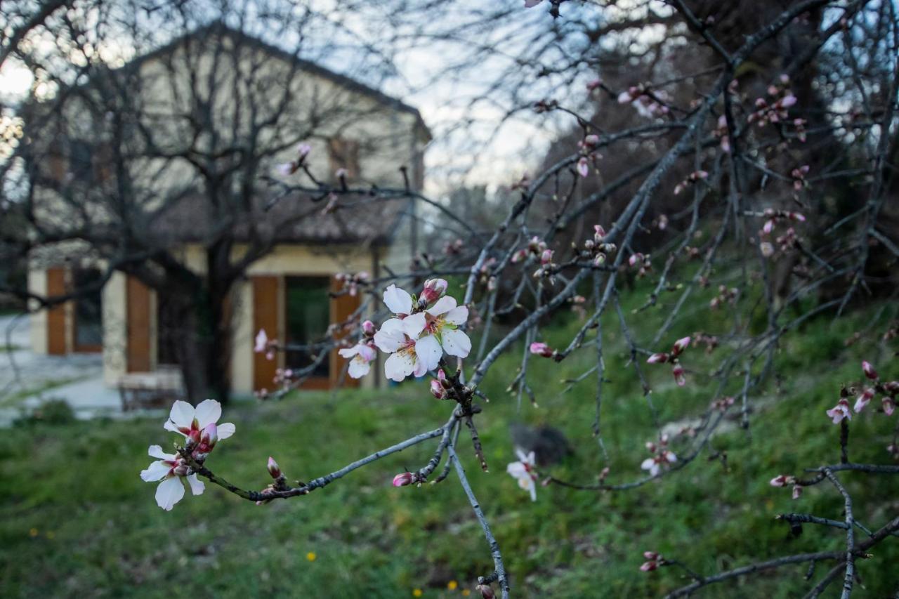 Agriturismo Conero Ancona Exterior photo